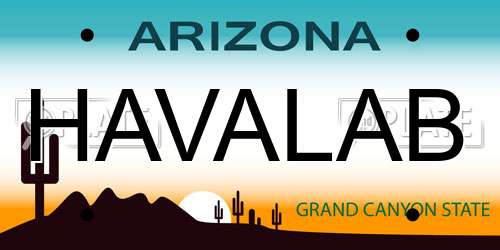 HAVALAB Arizona License Plate