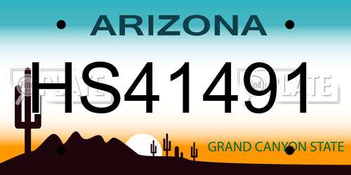 HS41491 Arizona License Plate