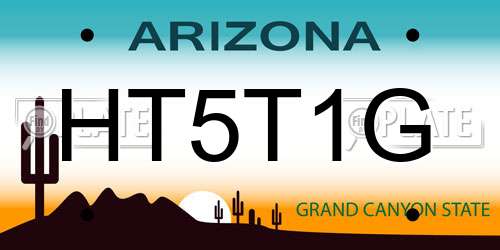 HT5T1G Arizona License Plate
