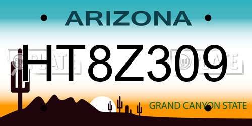 HT8Z309 Arizona License Plate