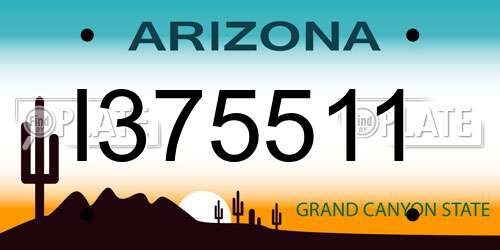 I375511 Arizona License Plate