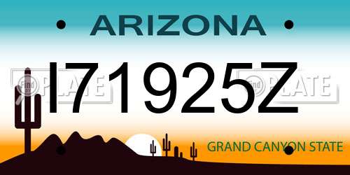 I71925Z Arizona License Plate