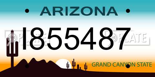 I855487 Arizona License Plate