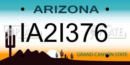 IA2I376 Arizona License Plate