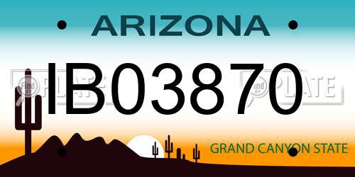IB03870 Arizona License Plate