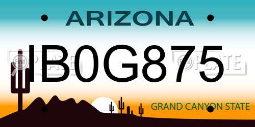 IB0G875 Arizona License Plate
