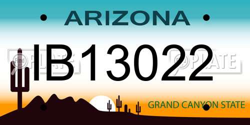 IB13022 Arizona License Plate