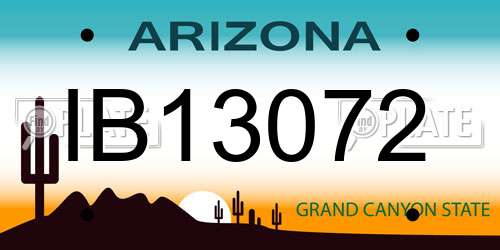 IB13072 Arizona License Plate