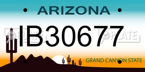 IB30677 Arizona License Plate