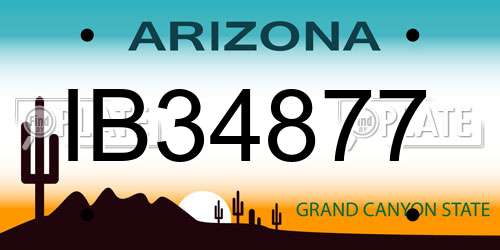 IB34877 Arizona License Plate