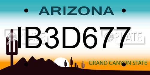 IB3D677 Arizona License Plate