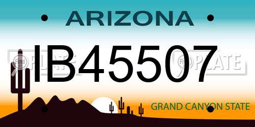 IB45507 Arizona License Plate