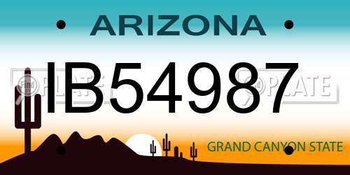 IB54987 Arizona License Plate