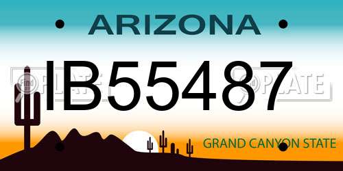 IB55487 Arizona License Plate