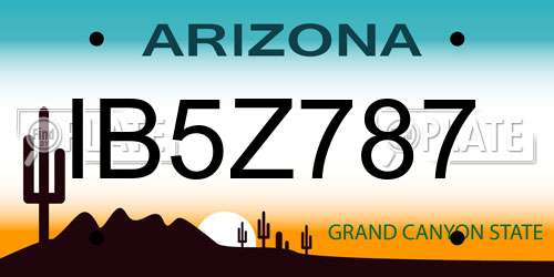 IB5Z787 Arizona License Plate