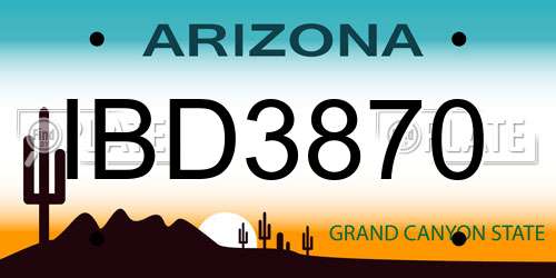 IBD3870 Arizona License Plate