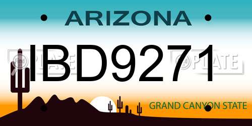 IBD9271 Arizona License Plate