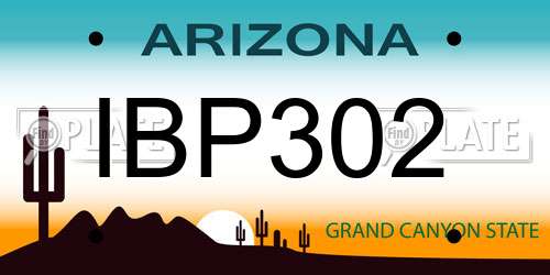 IBP302 Arizona License Plate