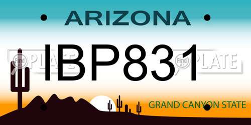 IBP831 Arizona License Plate
