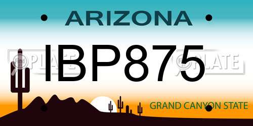 IBP875 Arizona License Plate