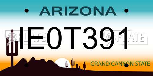 IE0T391 Arizona License Plate