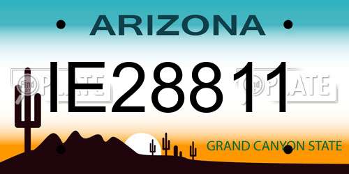 IE28811 Arizona License Plate