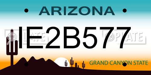 IE2B577 Arizona License Plate