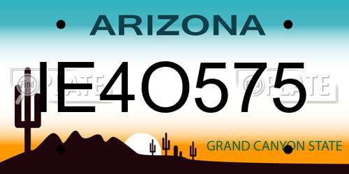 IE4O575 Arizona License Plate