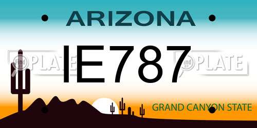 IE787 Arizona License Plate