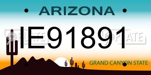 IE91891 Arizona License Plate