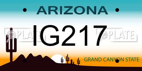 IG217 Arizona License Plate