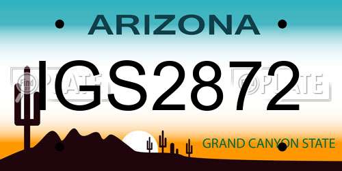 IGS2872 Arizona License Plate