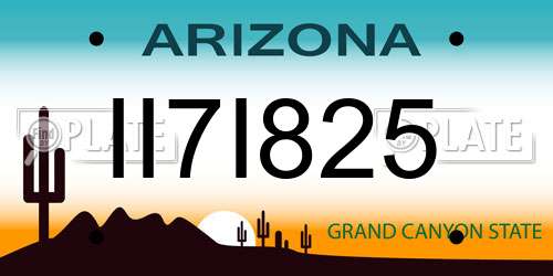 II7I825 Arizona License Plate