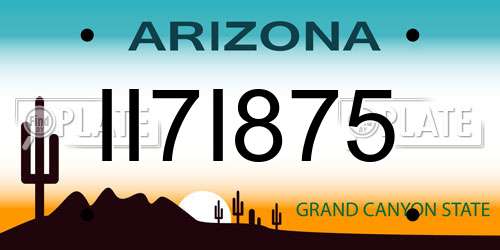 II7I875 Arizona License Plate