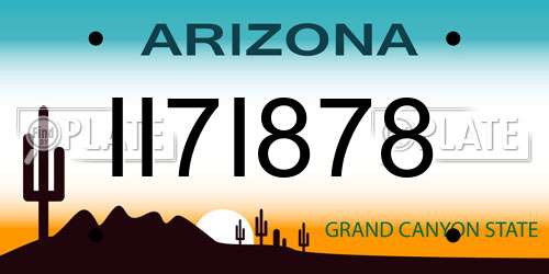 II7I878 Arizona License Plate