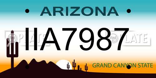 IIA7987 Arizona License Plate