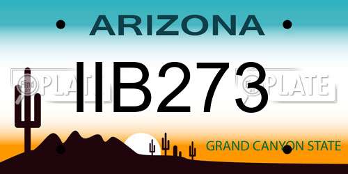 IIB273 Arizona License Plate
