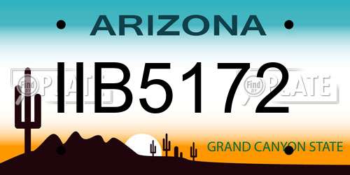 IIB5172 Arizona License Plate