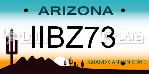 IIBZ73 Arizona License Plate