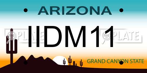 IIDM11 Arizona License Plate