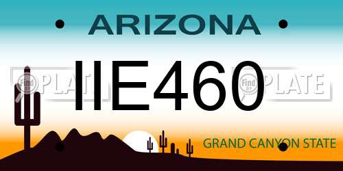 IIE460 Arizona License Plate