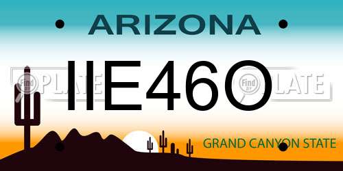 IIE46O Arizona License Plate