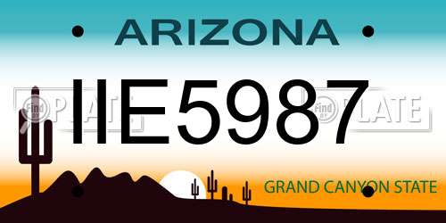 IIE5987 Arizona License Plate