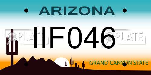 IIF046 Arizona License Plate