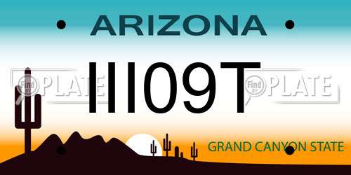 III09T Arizona License Plate
