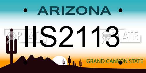IIS2113 Arizona License Plate