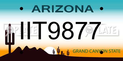 IIT9877 Arizona License Plate