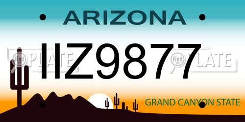 IIZ9877 Arizona License Plate