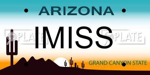 IMISS Arizona License Plate