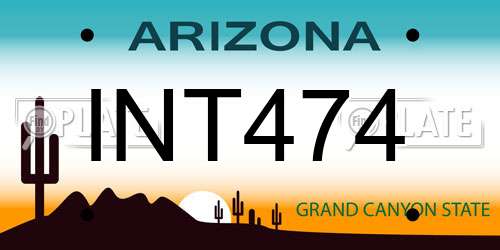 INT474 Arizona License Plate